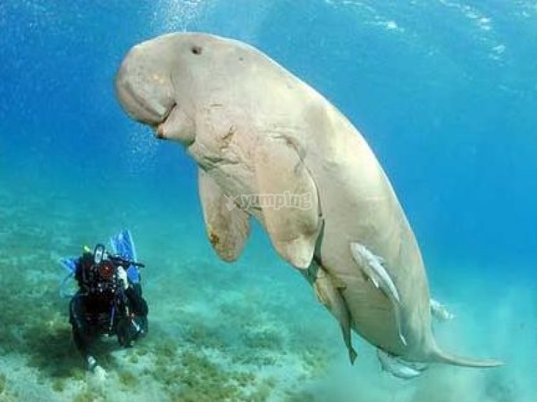 Fotos realmente sorprendentes Fotos realmente sorprendentes